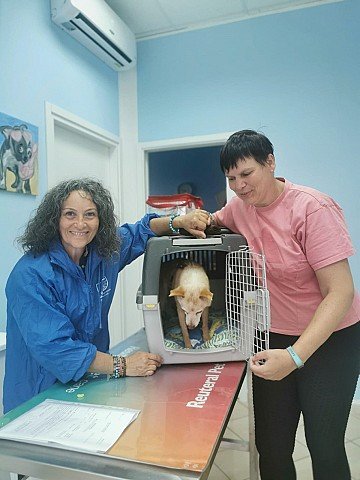 Press Release cover image