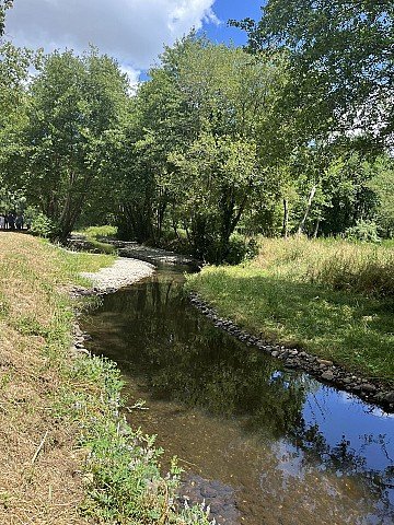 Press Release cover image