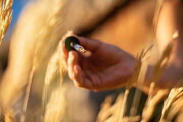 Press Release cover image