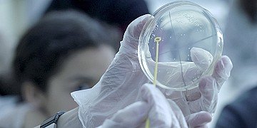 Press Release cover image