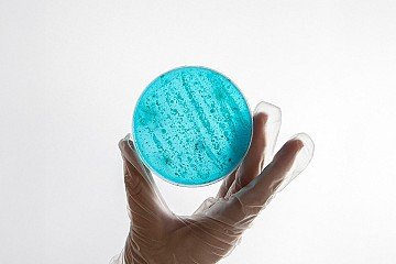 Press Release cover image