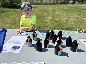 Press Release cover image