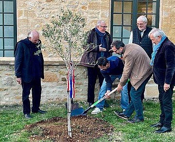 Press Release cover image