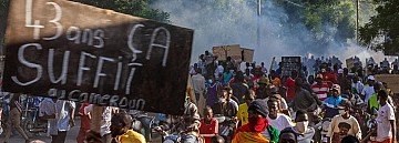 Press Release cover image