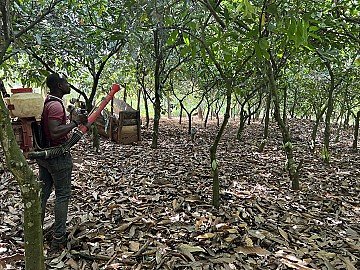 Press Release cover image