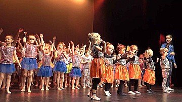 Press Release cover image