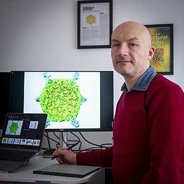 Press Release cover image