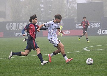 Press Release cover image