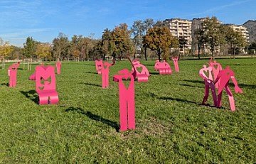 Press Release cover image