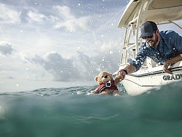 Press Release cover image