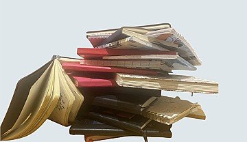 Press Release cover image