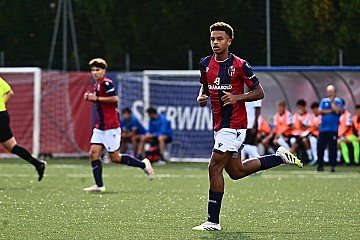 Press Release cover image