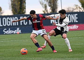 Press Release cover image