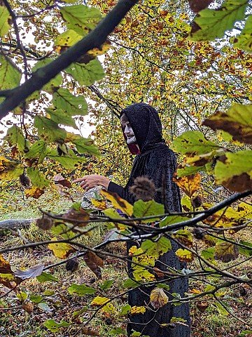 Press Release cover image