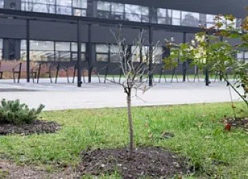 Press Release cover image