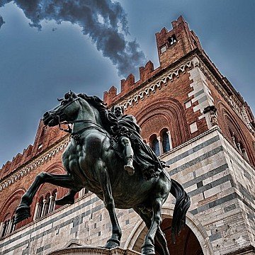 Press Release cover image