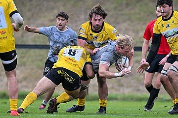 Press Release cover image