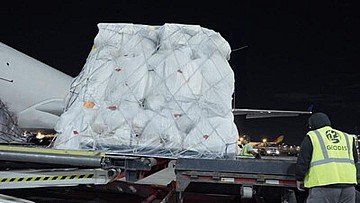 Press Release cover image