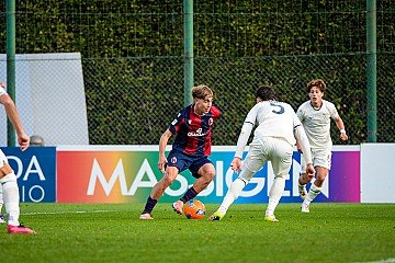 Press Release cover image