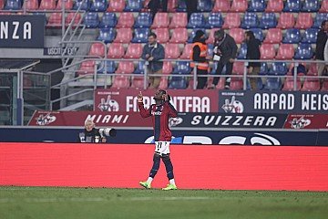 Press Release cover image