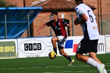 Press Release cover image