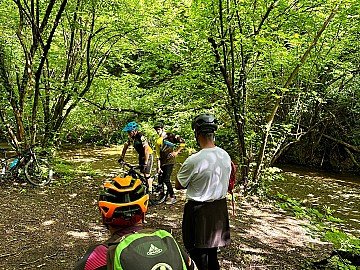 Press Release cover image