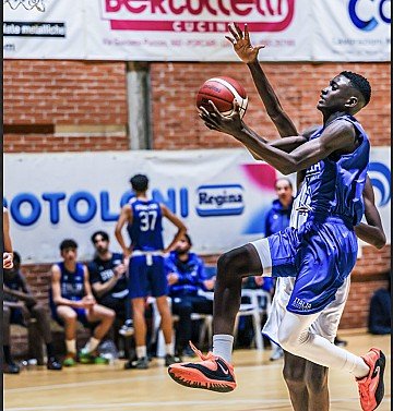 Press Release cover image