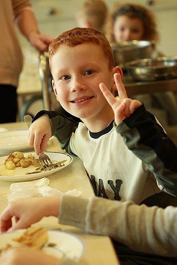 Press Release cover image