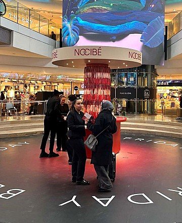 Press Release cover image