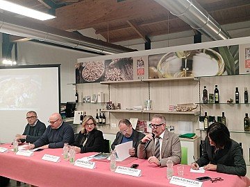 Press Release cover image