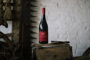 Press Release cover image