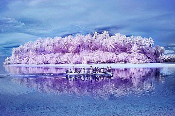 Press Release cover image