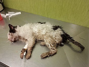 Press Release cover image