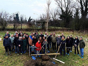 Press Release cover image