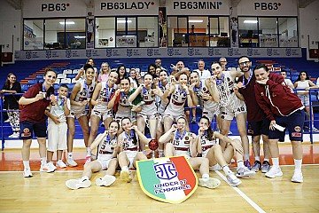 Press Release cover image