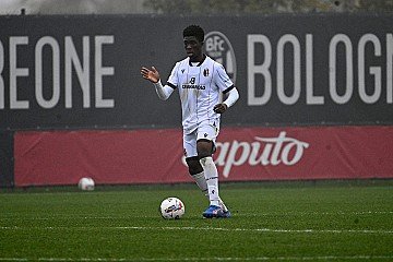 Press Release cover image