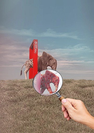 Press Release cover image