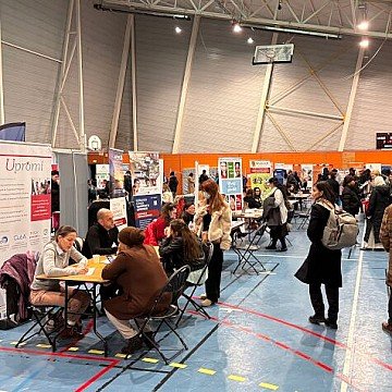 Press Release cover image