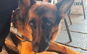 Press Release cover image