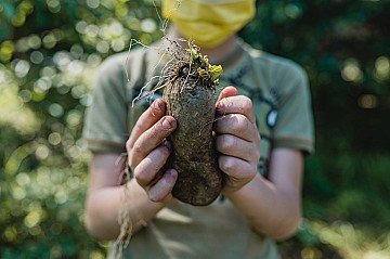 Press Release cover image