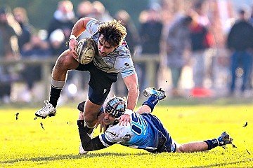 Press Release cover image