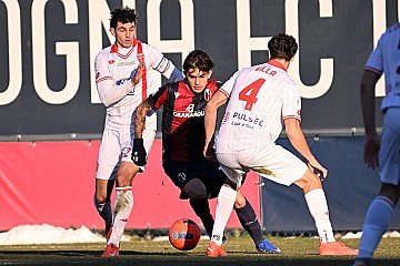 Press Release cover image