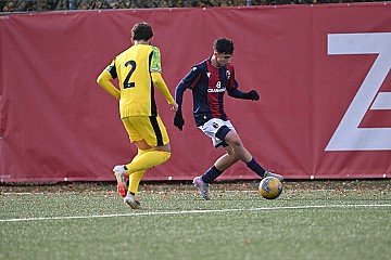 Press Release cover image