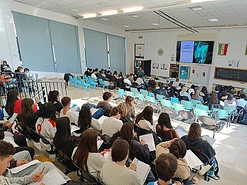 Press Release cover image