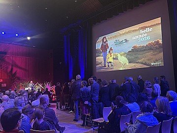 Press Release cover image