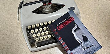 Press Release cover image