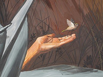 Press Release cover image