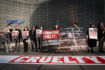 Press Release cover image