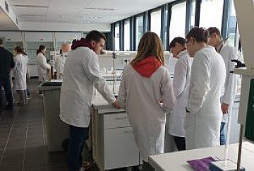 Press Release cover image