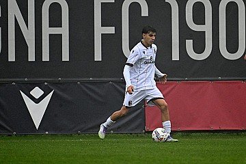 Press Release cover image